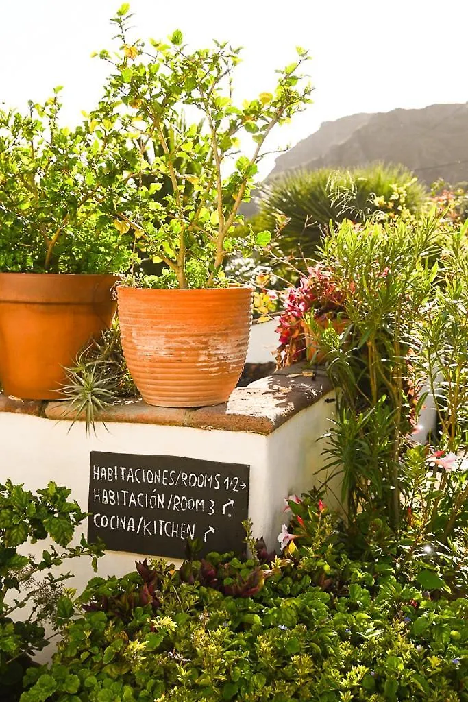 Country house Casa Rural Chamorga - Pension - Guesthouse - Santa Cruz de Tenerife