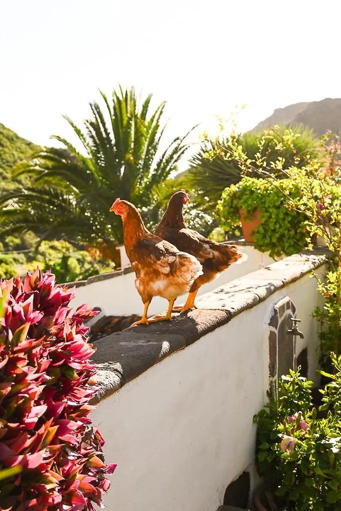 Country house Casa Rural Chamorga - Pension - Guesthouse - Santa Cruz de Tenerife