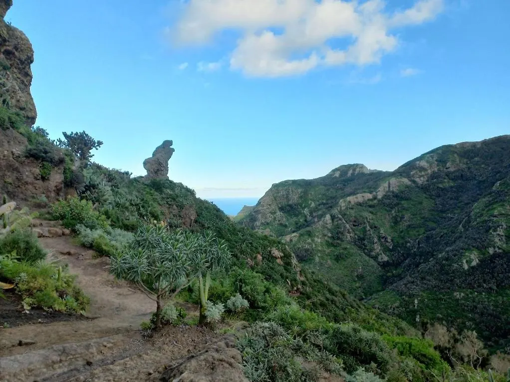Casa Rural Chamorga - Pension - Guesthouse - Santa Cruz de Tenerife Landhuis