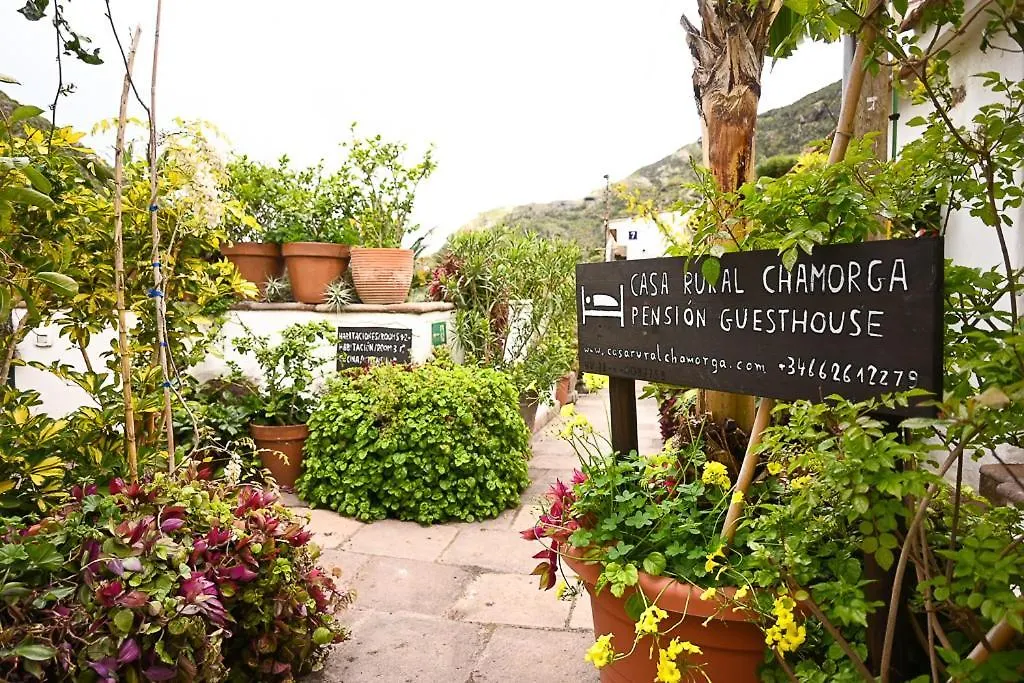 Casa Rural Chamorga - Pension - Guesthouse - Santa Cruz de Tenerife Landhuis
